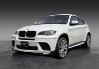 Images of BMW X6 xDrive35i Performance Accessories (E71) 2010 Images of BMW X6 xDrive35i Performance Accessories (E71) 2010