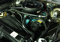 Images of Chevrolet Camaro Z28 1978–81