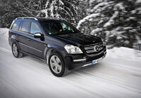 Mercedes-Benz GL 350 CDI (X164) 2009–12 photos