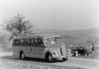 Mercedes-Benz O3500 1949–55 photos