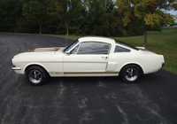 Shelby GT350H 1966 wallpapers