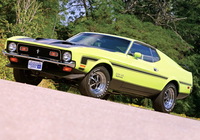 Mustang Boss 351 1971 photos Mustang Boss 351 1971 photos