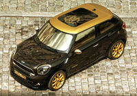 Pictures of MINI Cooper S Paceman by Roberto Cavalli (R61) 2013 Pictures of MINI Cooper S Paceman by Roberto Cavalli (R61) 2013