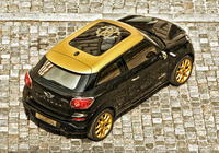 Pictures of MINI Cooper S Paceman by Roberto Cavalli (R61) 2013