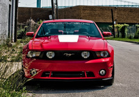 Pictures of Roush 427R 2010